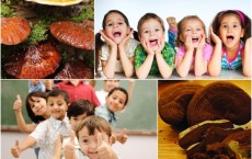 5 công dụng tuyệt vời của nấm linh chi Hàn Quốc đối với trẻ em