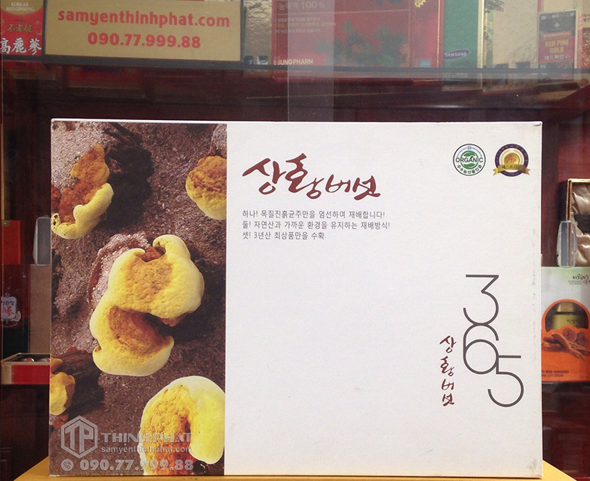 Nấm Thượng Hoàng Hàn Quốc 365 hộp quà tặng 0,5kg
