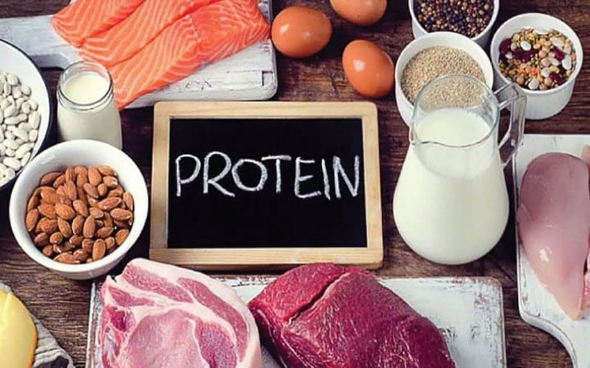 Các thực phẩm giàu protein giúp người bệnh viêm phổi nhanh phục hồi