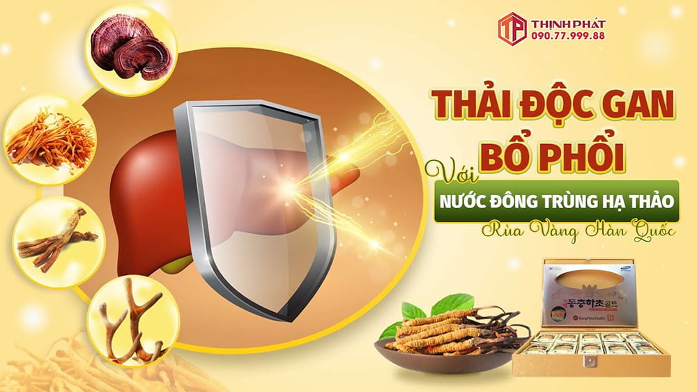 Thải độc gan bổ phỏi với nước đông trùng hạ thảo rùa vàng Hàn Quốc