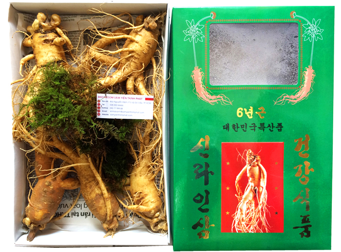 Nhân sâm tươi Hàn Quốc loại 5 củ 1 kg