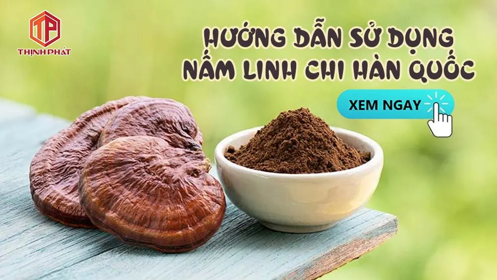 Hướng dẫn sử dụng nấm linh chi Hàn Quốc Hướng dẫn sử dụng nấm linh chi Hàn Quốc