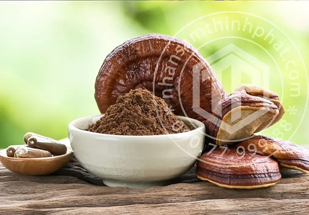 Các thành phần có trong nấm linh chi mang lại tác dụng mạnh mẽ trong việc chống lại tình trạng viêm nhiễm Các thành phần có trong nấm linh chi mang lại tác dụng mạnh mẽ trong việc chống lại tình trạng viêm nhiễm