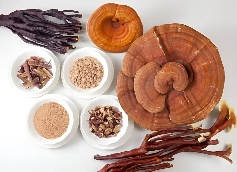 Nấm linh chi Hàn Quốc có thể nghiền thành bột để sử dụng Nấm linh chi Hàn Quốc có thể nghiền thành bột để sử dụng