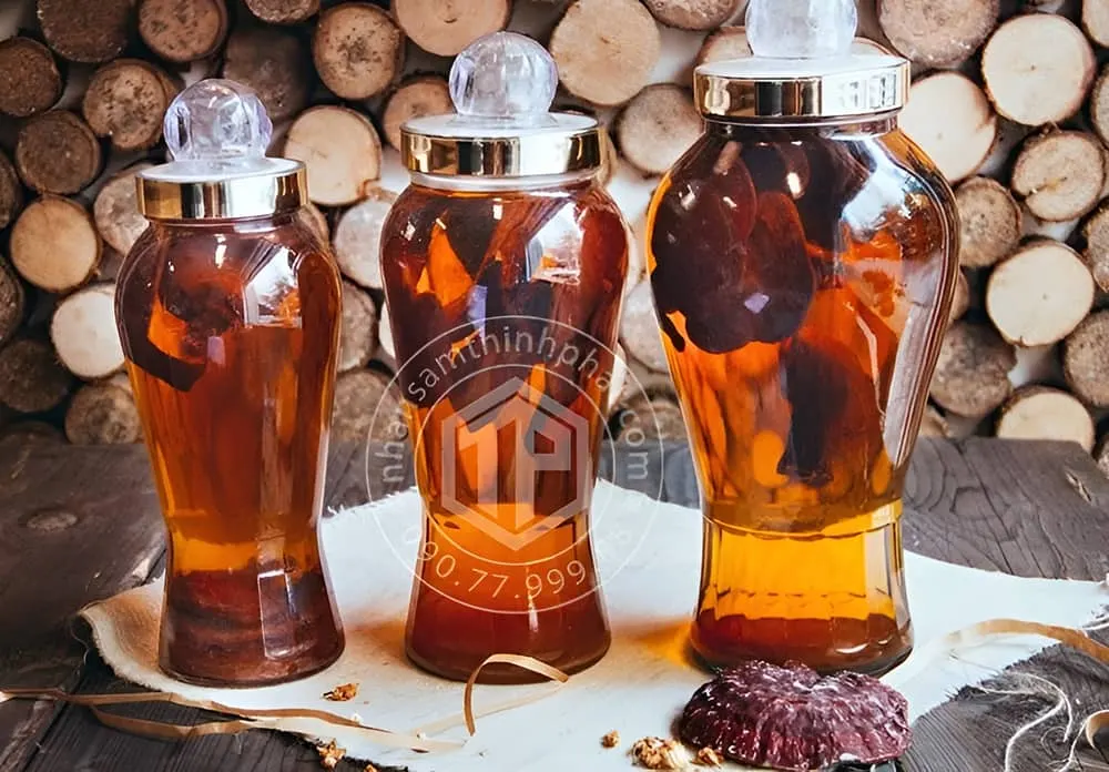 Dược tửu ngâm nấm linh chi Hàn Quốc Dược tửu ngâm nấm linh chi Hàn Quốc