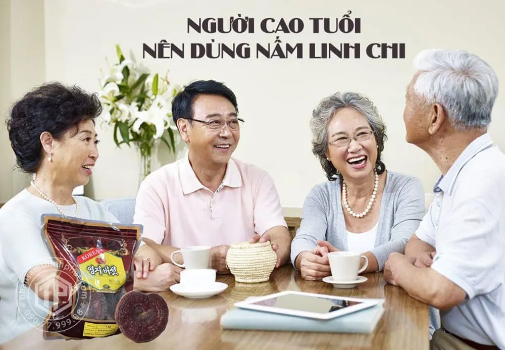 Người cao tuổi có thể dùng nấm linh chi thường xuyên Người cao tuổi có thể dùng nấm linh chi thường xuyên