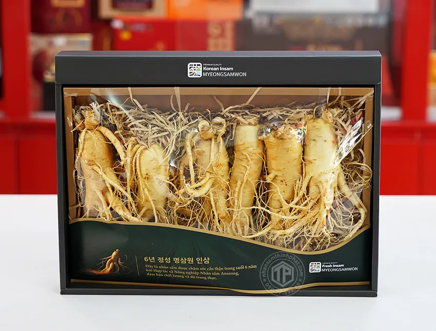 Nhân sâm tươi Hàn Quốc loại 1 nhập khẩu kg 6 củ Nhân sâm tươi Hàn Quốc loại 1 nhập khẩu kg 6 củ