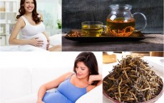 Tác dụng đông trùng hạ thảo với phụ nữ mang thai và sau sinh