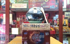 Cửa hàng bán cao hồng sâm linh chi bổ dưỡng dành cho người già lớn tuổi tại Khánh Hòa, Kiên Giang